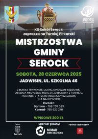 Plakat - Turniej 6-tek