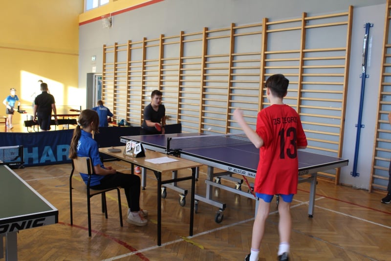 Gminne Eliminacje Tenisa Stołowego w ramach MIMSz