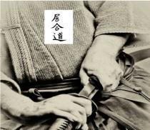 IAIDO
