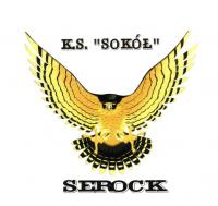 Wyniki meczów piłkarskich Sokoła Serock – 18-19.10.2014 r.