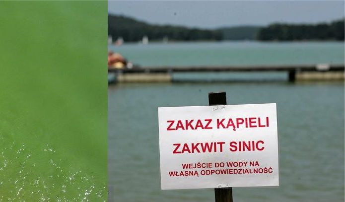 ZAKAZ KĄPIELI !!!